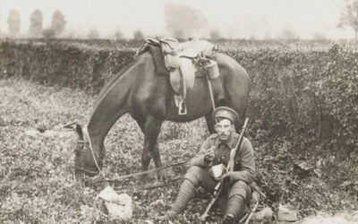 From Fact to Fiction: The Real ‘War-Horses’ of World War I Britain