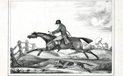 Extinct Horse Professions from the 1851 Census