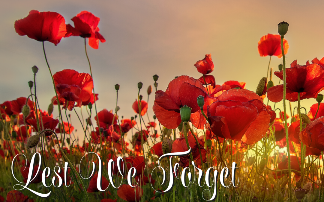 Remembering Our Heroes: Accessing Military Records on Remembrance Day